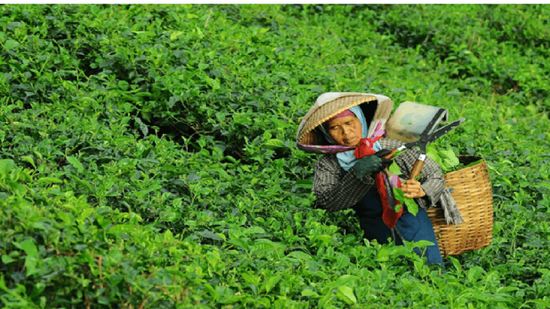 ODS 10 - Sé consciente, compra conscientemente