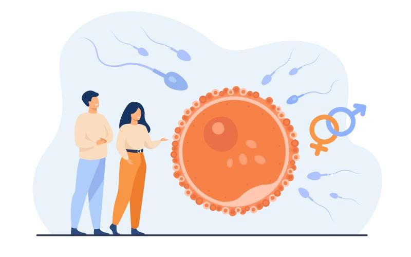 SDG 3 - Seks en reproductieve gezondheidssystemen - Wereld verschillen