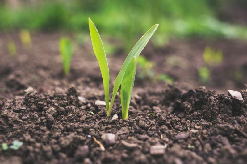 SDG 2 - Op weg naar duurzame landbouw